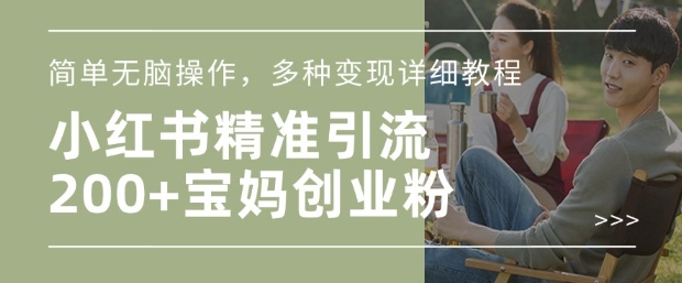 小红书混剪日引200+宝妈创业粉，简单无脑操作，多种变现详细教程-铜臭网