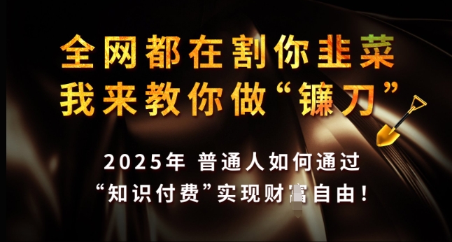 全网都在割你韭菜，我来教你做镰刀，2025年普通人如何通过 知识付费 实现财F自由【揭秘】-铜臭网