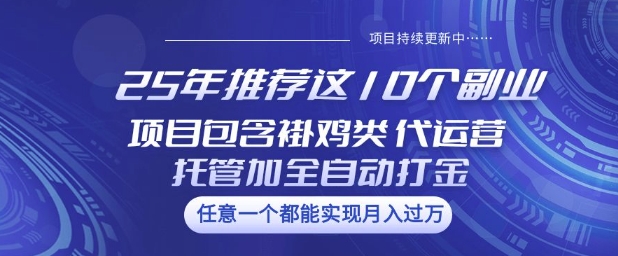 25年推荐这10个副业项目包含褂鸡类、代运营托管类、全自动打金类【揭秘】-铜臭网