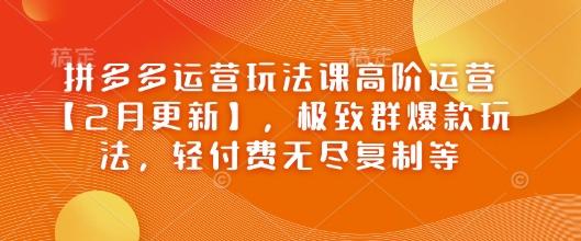 拼多多运营玩法课高阶运营【2月更新】，极致群爆款玩法，轻付费无尽复制等-铜臭网