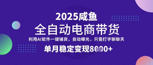 全网首发【闲鱼全自动电商带货】三年磨一剑,一朝露锋芒,单月稳定变现8k+【揭秘】-铜臭网