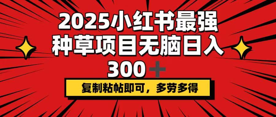 2025小红书最强种草项目，无脑日入300+，复制粘帖即可，多劳多得-铜臭网