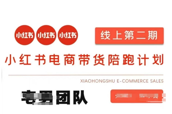 小红书电商带货课2期，月利润20个的小红书电商的有货源，无货源，虚拟产品，付费投流等整套玩法-铜臭网