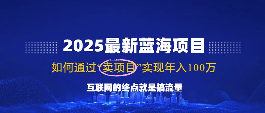 2025最新蓝海项目，零门槛轻松复制，月入10万+，新手也能操作！-铜臭网