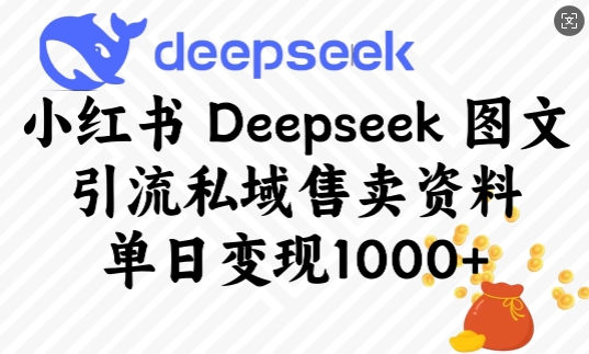 小红书Deepseek图文引流私域售卖资料，单日变现多张-铜臭网