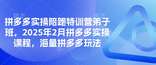 拼多多实操陪跑特训营弟子班，2025年2月拼多多实操课程，海量拼多多玩法-铜臭网