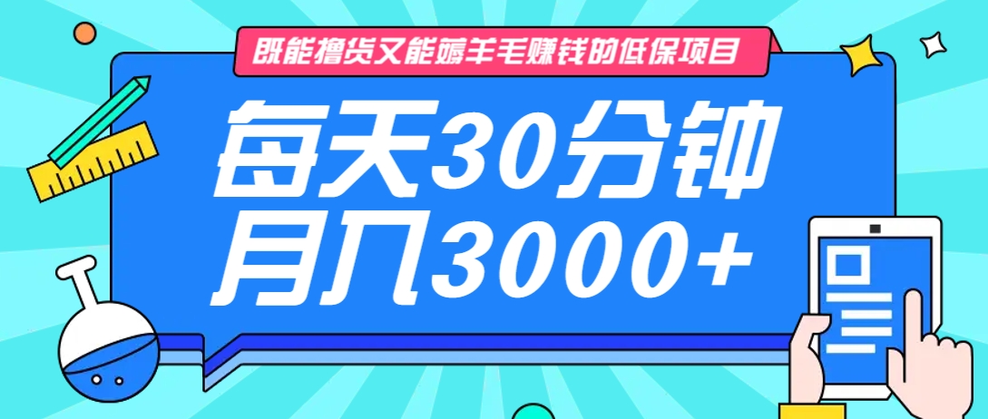 既能撸货又能赚钱的长期低保项目，每天30分钟，多号百分百稳定月入3000+！-铜臭网