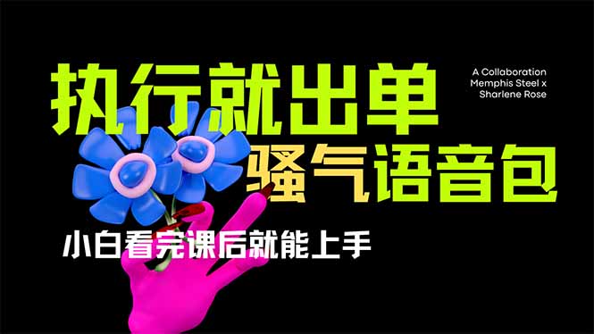 爆火全网的开车导航骚气语音包,只要执行就出单，小白看完课程就能实操...-铜臭网