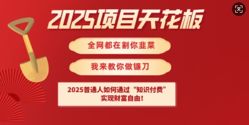 2025项目天花板普通人如何通过知识付费，实现财F自由【揭秘】-铜臭网