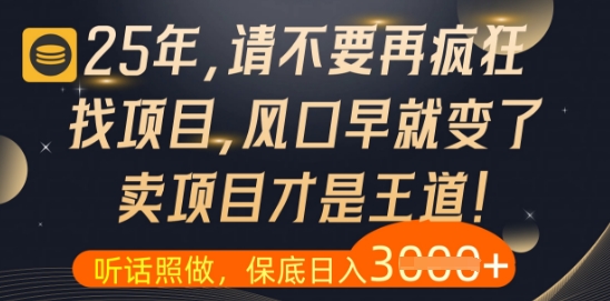 什么？25年你还在疯狂找项目做，醒醒吧，看完这些你全都懂了【揭秘】-铜臭网