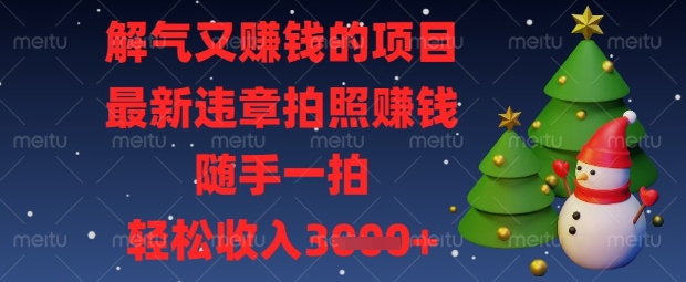解气又挣钱的项目，最新违章拍照挣钱，随手一拍，轻松收入数张【揭秘】-铜臭网