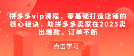 拼多多vip课程，零基础打造店铺的核心秘诀，助拼多多卖家在2025卖出爆款，订单不断-铜臭网