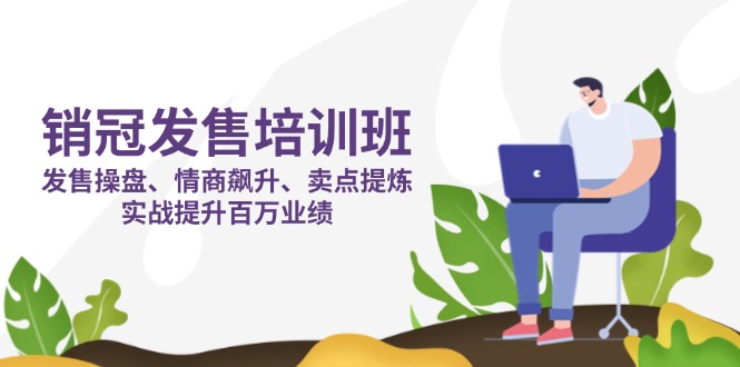 销冠 发售培训班:发售 操盘+情商 飙升+卖点 提炼,实战提升百万业绩-铜臭网