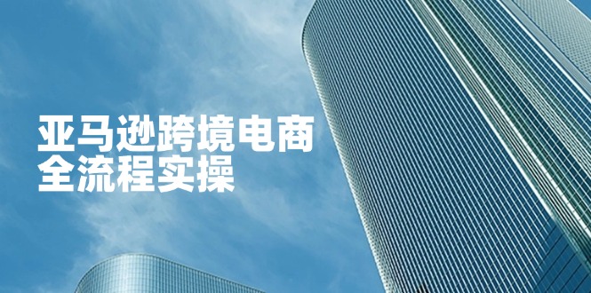 亚马逊跨境电商全流程实操,教你从零开始,掌握店铺运营与广告技巧-铜臭网