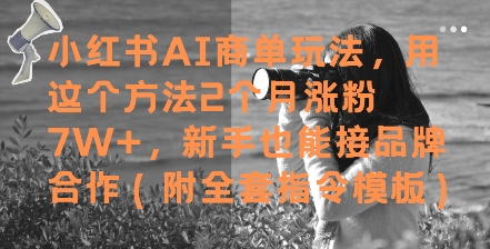小红书AI商单玩法，用这个方法2个月涨粉7W+，新手也能接品牌合作(附全套指令模板)-铜臭网