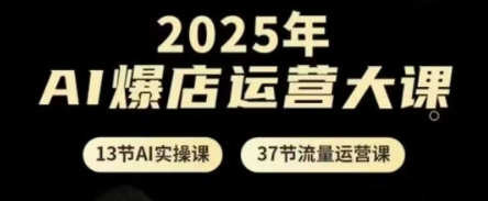 2025年AI爆店运营大课，13节AI实操课+37节流量运营课-铜臭网