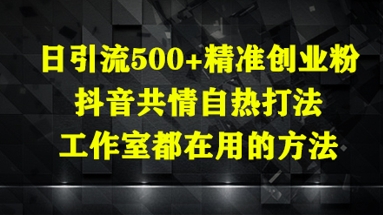 日引流500+精准创业粉，抖音共情自热打法，工作室都在用的方法-铜臭网