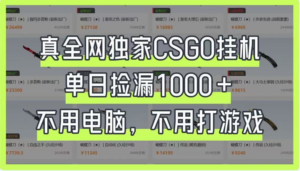 真全网独家CSGO挂机，单日捡漏1000+，不用电脑，不用养号-铜臭网