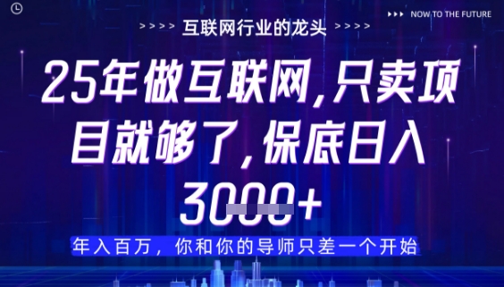 什么！25年你还在找项目做？风口早就变了，卖项目才是稳挣不赔【揭秘】-铜臭网