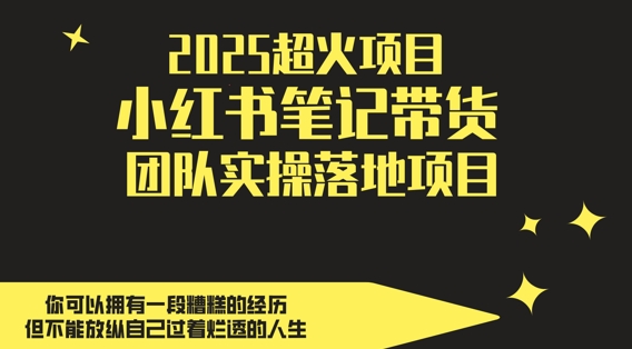 2025超火项目，副业最佳选择，小红书笔记带货团队实操落地项目，，轻松日入5张-铜臭网