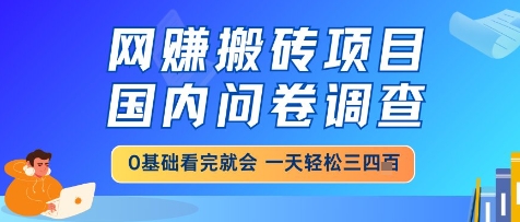 网创搬砖项目，国内问卷调查，小白轻松上手，一天三四张的也不难，干就完了【揭秘】-铜臭网