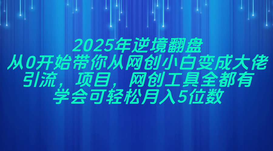 2025年逆境翻盘，从0开始带你从网创小白变成大佬，引流，项目，网创工...-铜臭网