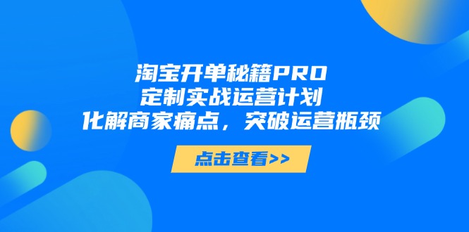 淘宝开单秘籍PRO，定制实战运营计划，化解商家痛点，突破运营瓶颈-铜臭网