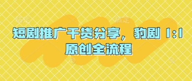 短剧推广干货分享，豹剧 1:1原创全流程-铜臭网