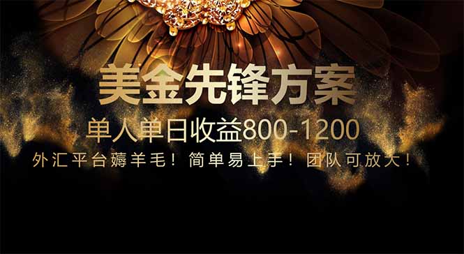 免费技术！小众赛道！一年布局抵三年努力，每日800+-铜臭网