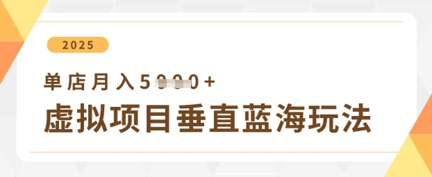 虚拟项目垂直玩法，实现单店月入5k+-铜臭网
