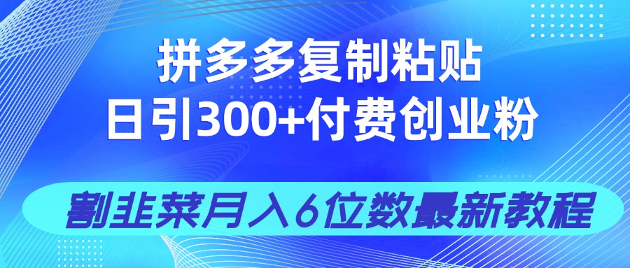 拼多多复制粘贴日引300+付费创业粉，割韭菜月入6位数最新教程！-铜臭网