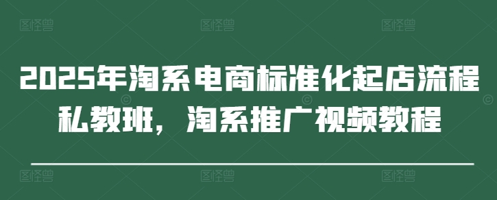 2025年淘系电商标准化起店流程私教班，淘系推广视频教程-铜臭网