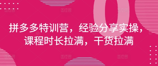 拼多多特训营，经验分享实操，课程时长拉满，干货拉满(更新25年4月)-铜臭网