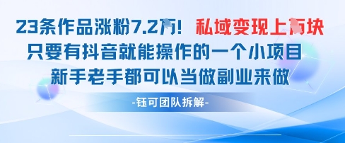 抖音私域项目23条作品涨粉7.2W，私域变现1W-铜臭网