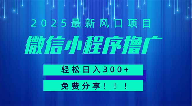 微信小程序撸广，最新风口项目，日入300+ 免费分享 可批量操作 小白可…-铜臭网