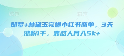 即梦+林黛玉完爆小红书商单，3天涨粉1千，靠怼人月入5k+-铜臭网