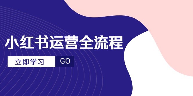 小红书运营全流程,爆款选题文案,视频制作技巧,进阶达人宝典-铜臭网