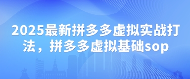 2025最新拼多多虚拟实战打法，拼多多虚拟基础sop-铜臭网
