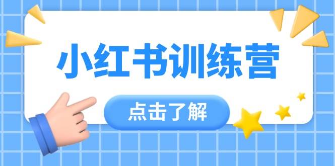 小红书训练营，助小白入门，掌握技巧变达人，课程实操又全面(12节课)-铜臭网