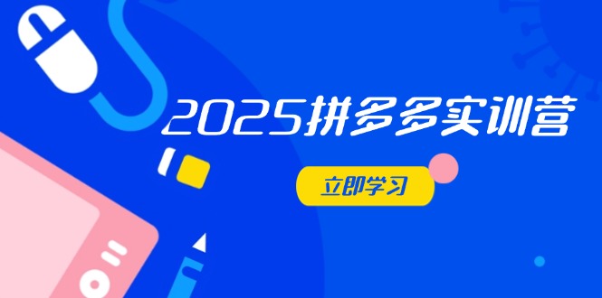 2025拼多多实训营：深度剖析运营关键，助力电商人快速提升-铜臭网