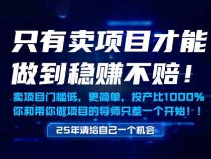 只有卖项目才能做到稳挣不赔，门槛低，更简单，你也可以年入百个W【揭秘】-铜臭网