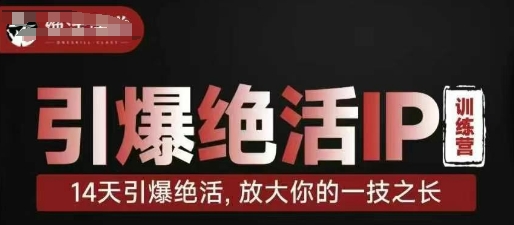 引爆绝活IP训练营，14天引爆绝活，放大你的一技之长-铜臭网