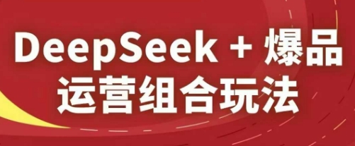 DeepSeek+爆品运营组合玩法，2025淘系精品课-铜臭网