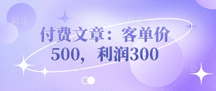 付费文章：客单价500，利润300-铜臭网