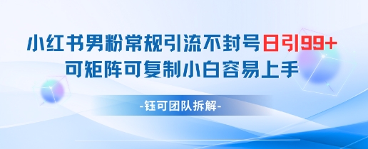 小红书男粉常规引流不封号日引99+变现简单 可矩阵可复制小白容易上手-铜臭网