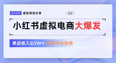 小红书虚拟电商项目，平台大力免费流量扶持，低门槛1拖3玩法-铜臭网