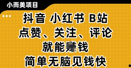 小而美的项目，抖音小红书B站视频点赞、关注、评论就能挣钱，简单无脑立见收益，妥妥的零撸项目【揭秘】-铜臭网