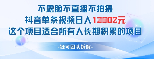 不露脸不直播不拍摄抖音单条视频日入1k+这个项目适合所有人长期积累的项目-铜臭网
