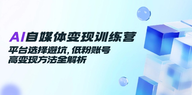 AI自媒体变现训练营，平台选择避坑，低粉账号高变现方法全解析-铜臭网