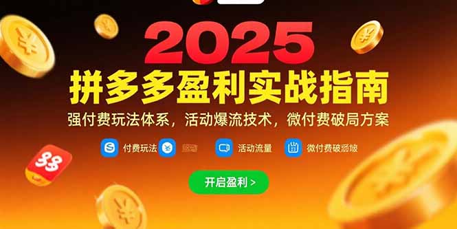 拼多多盈利实战指南，强付费玩法，活动爆流技术，微付费破局方案(更新7月-铜臭网